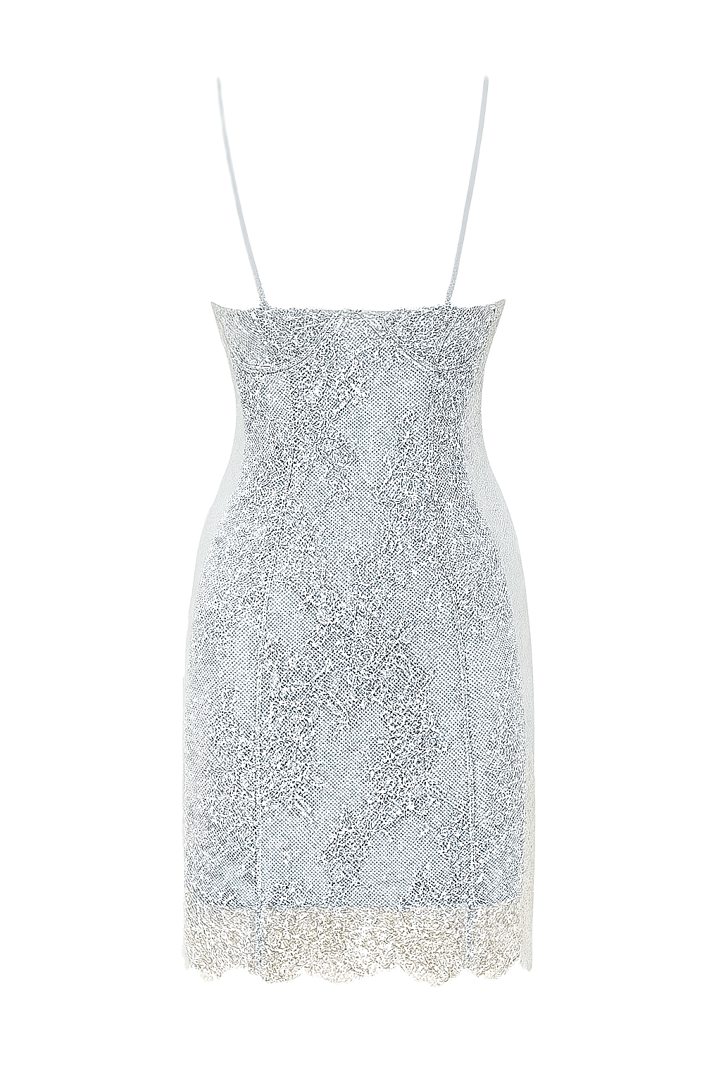 Lace Trimmed Slip Dress - back