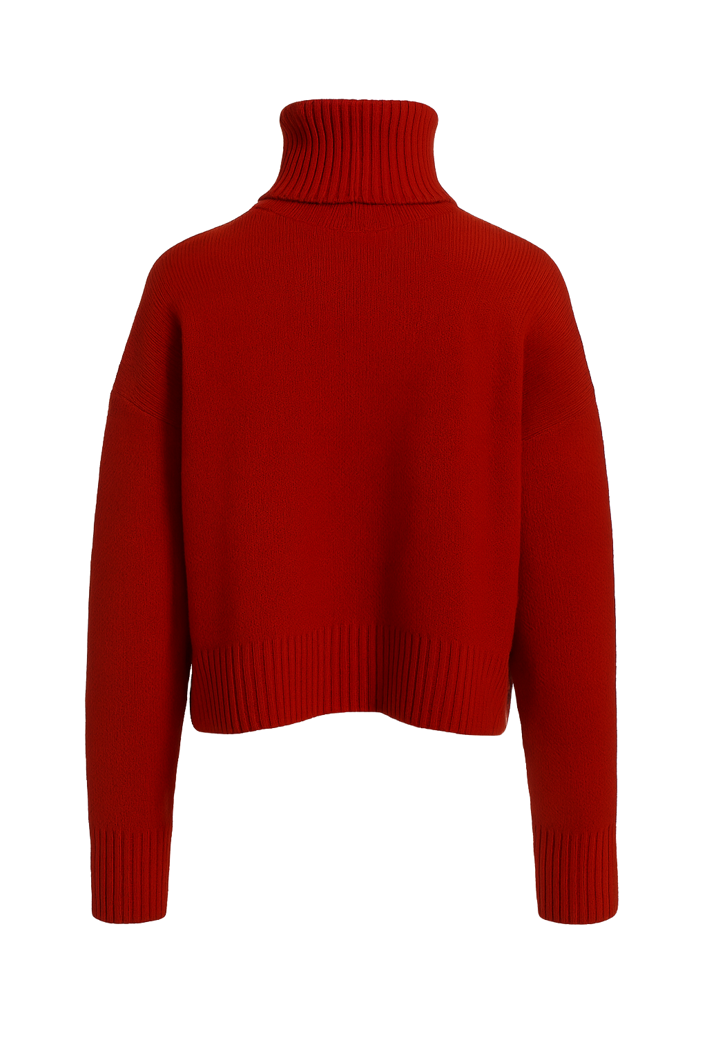 Ribbed Turtleneck Sweater - Red - back